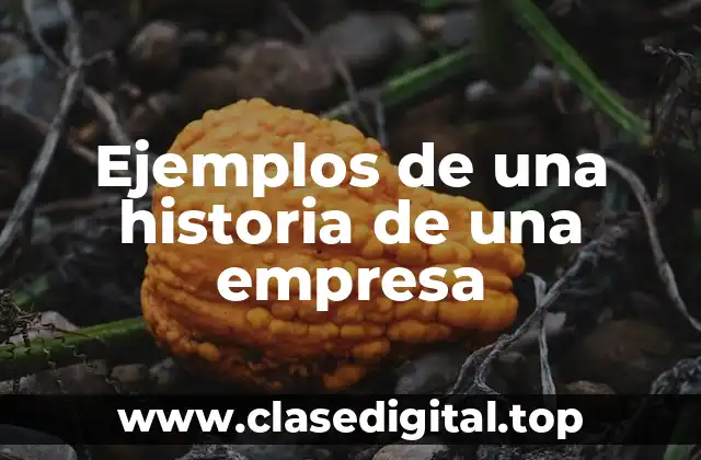 Ejemplos de una historia de una empresa