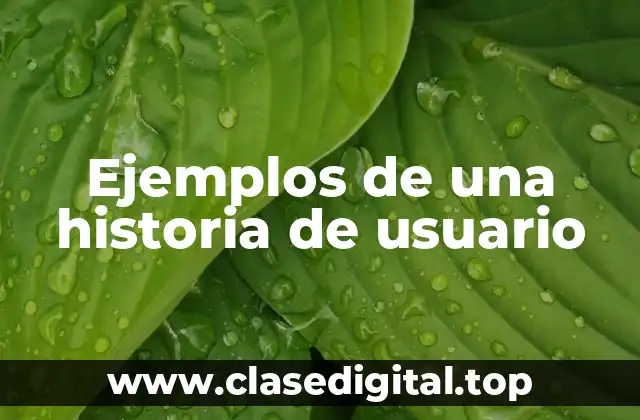 Ejemplos de una historia de usuario