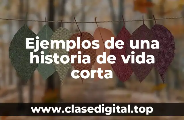 Ejemplos de una historia de vida corta