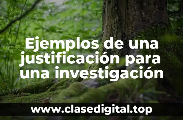 Ejemplos de una justificación para una investigación