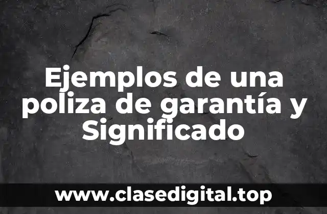 Ejemplos de una poliza de garantía y Significado
