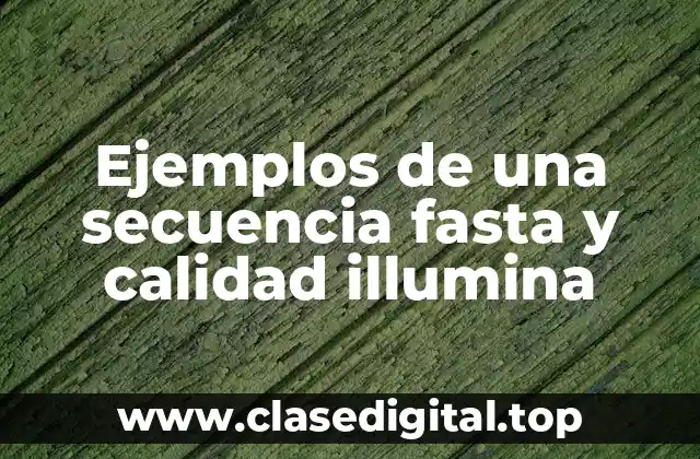 Ejemplos de una secuencia fasta y calidad illumina