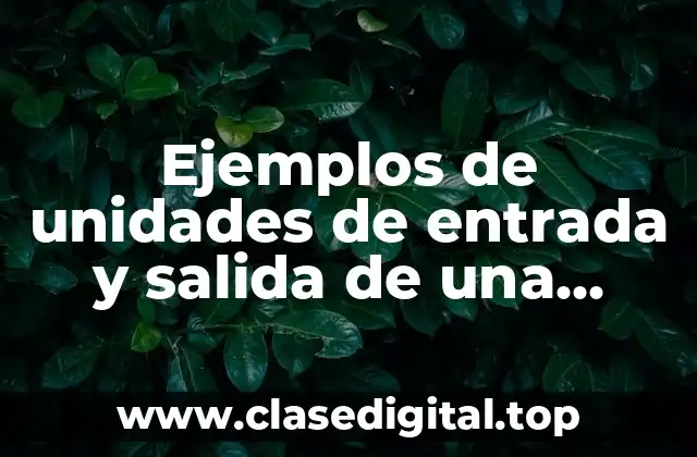 Ejemplos de unidades de entrada y salida de una computadora