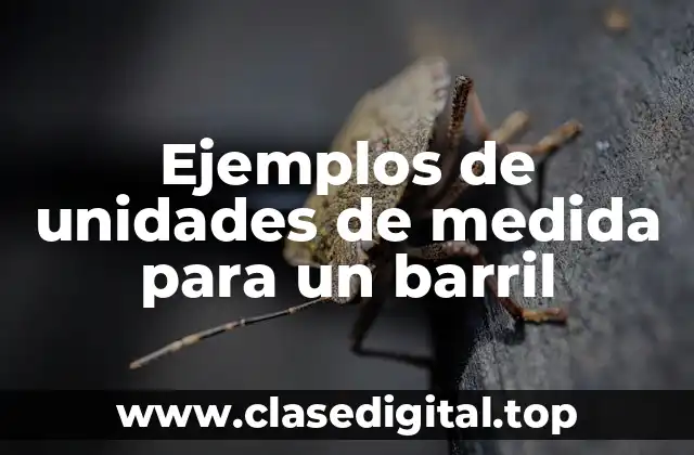 Ejemplos de unidades de medida para un barril