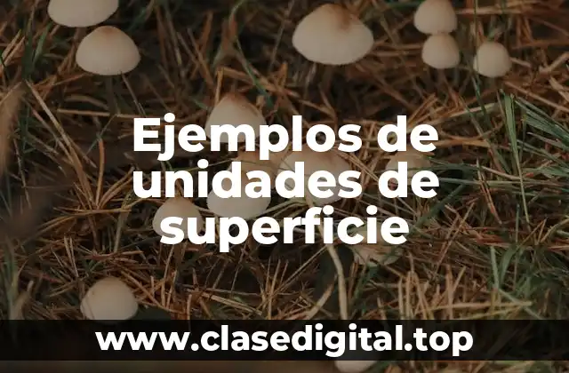 Ejemplos de unidades de superficie