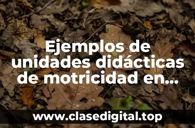 Ejemplos de unidades didácticas de motricidad en educación física primaria