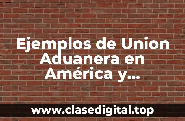 Ejemplos de Union Aduanera en América y Significado