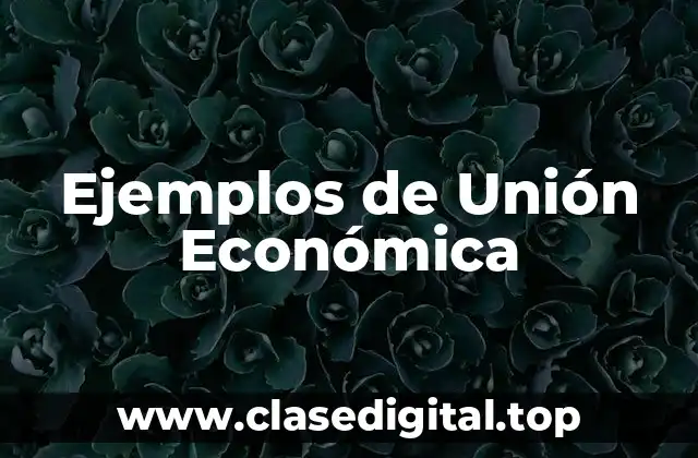Ejemplos de Unión Económica