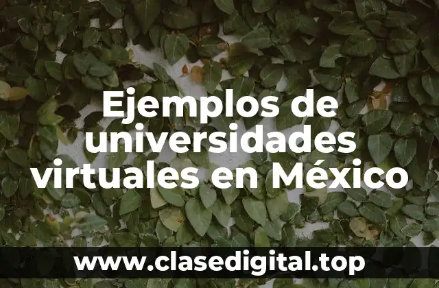 Ejemplos de universidades virtuales en México
