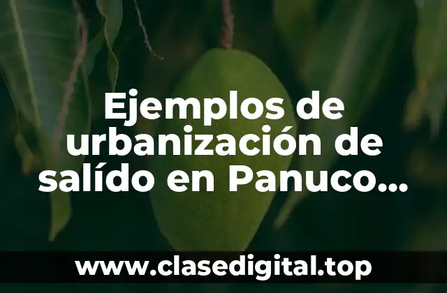 Ejemplos de urbanización de salído en Panuco Veracruz