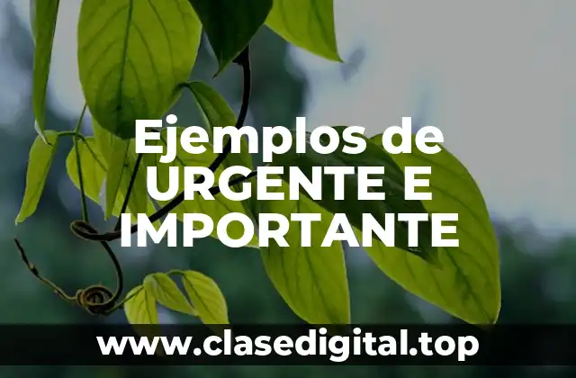 Ejemplos de URGENTE E IMPORTANTE