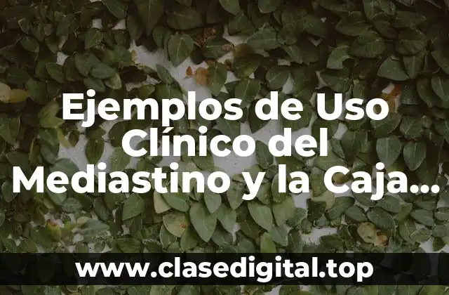 Ejemplos de Uso Clínico del Mediastino y la Caja Torax y Significado