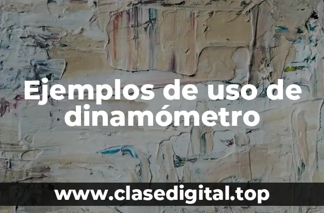 Ejemplos de uso de dinamómetro