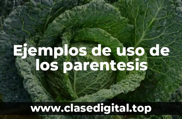 Ejemplos de uso de los parentesis