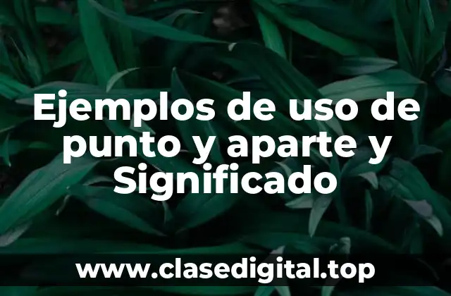 Ejemplos de uso de punto y aparte y Significado