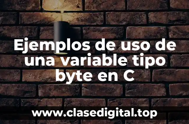 Ejemplos de uso de una variable tipo byte en C