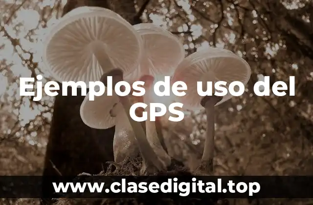 Ejemplos de uso del GPS