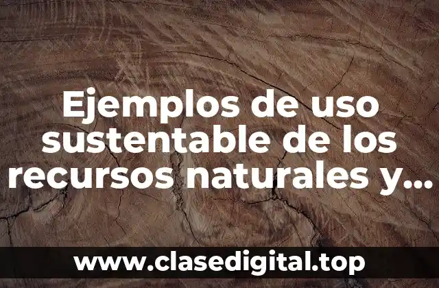 Ejemplos de uso sustentable de los recursos naturales y Significado