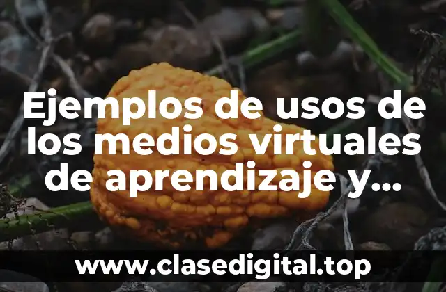 Ejemplos de usos de los medios virtuales de aprendizaje y Significado