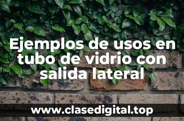 Ejemplos de usos en tubo de vidrio con salida lateral