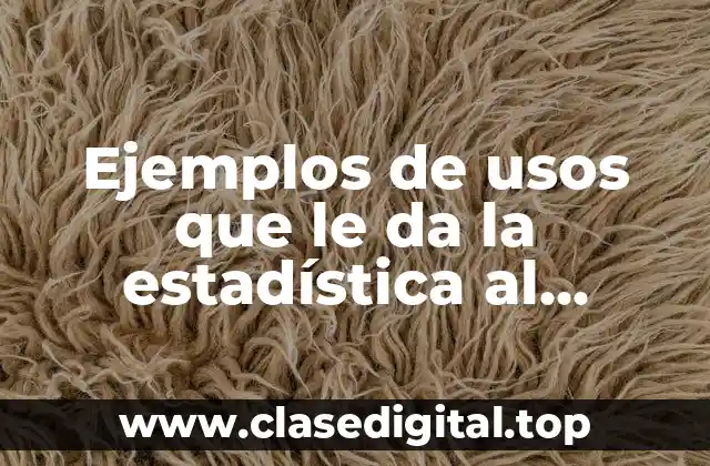 Ejemplos de usos que le da la estadística al internet