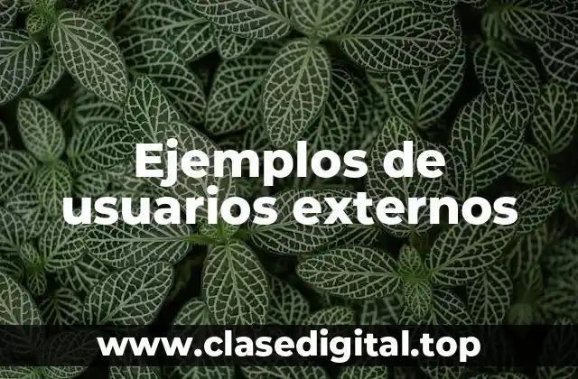 Ejemplos de usuarios externos