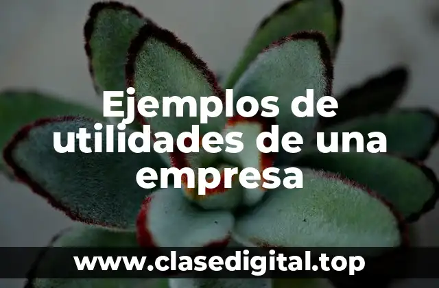 Ejemplos de utilidades de una empresa