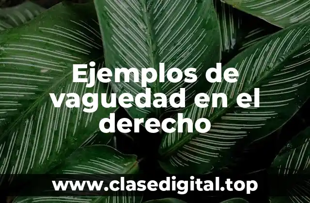 Ejemplos de vaguedad en el derecho