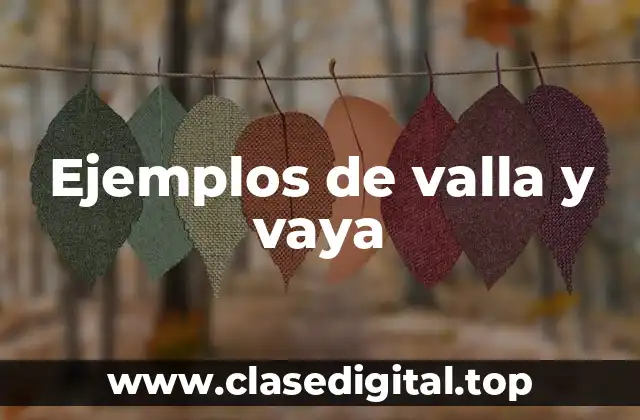 Ejemplos de valla y vaya
