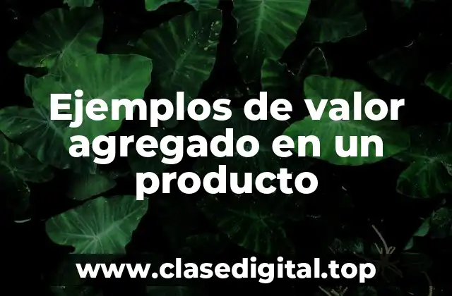 Ejemplos de valor agregado en un producto