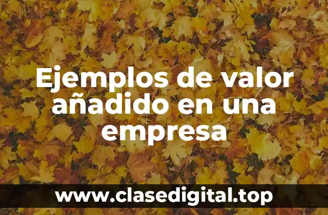 Ejemplos de valor añadido en una empresa