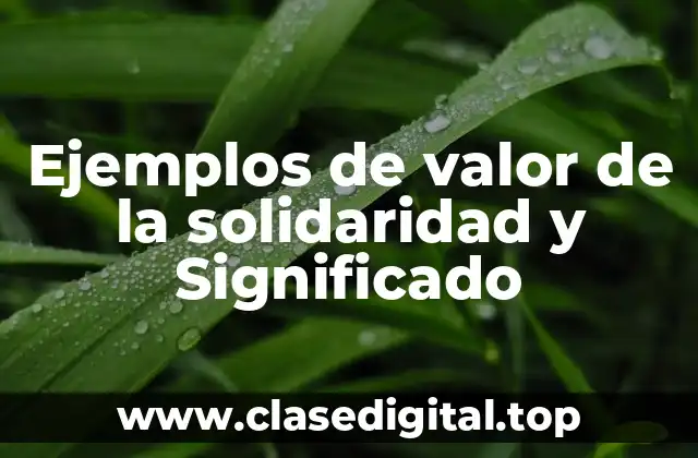 Ejemplos de valor de la solidaridad y Significado