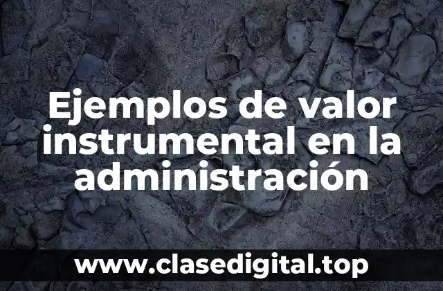 Ejemplos de valor instrumental en la administración