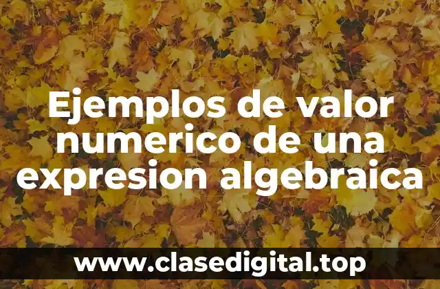 Ejemplos de valor numerico de una expresion algebraica