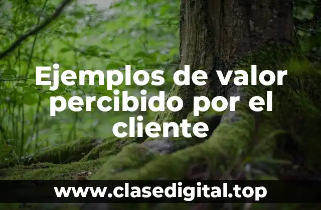 Ejemplos de valor percibido por el cliente