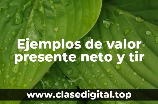 Ejemplos de valor presente neto y tir