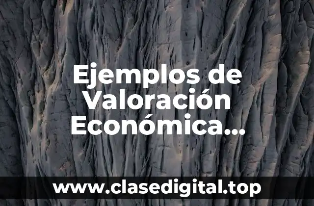 Ejemplos de Valoración Económica Ambiental