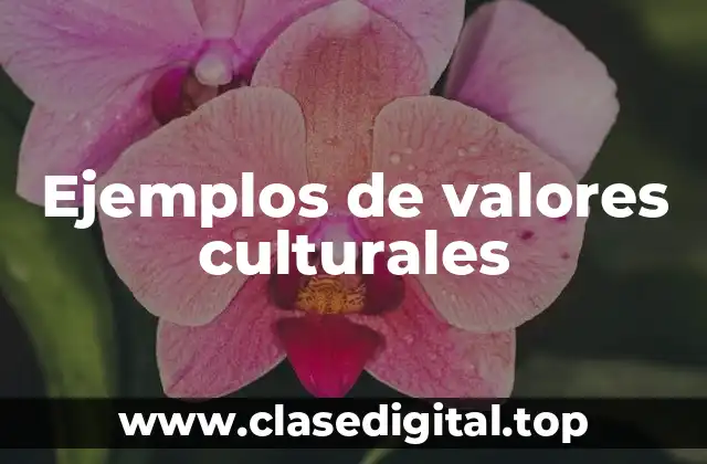 Ejemplos de valores culturales