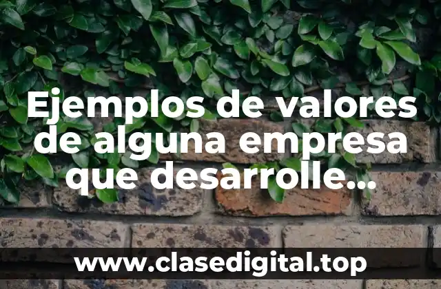 Ejemplos de valores de alguna empresa que desarrolle software