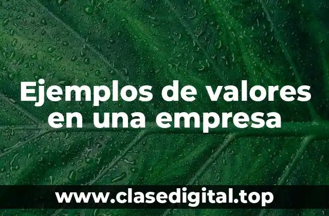 Ejemplos de valores en una empresa