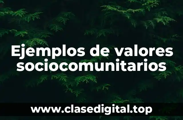 Ejemplos de valores sociocomunitarios