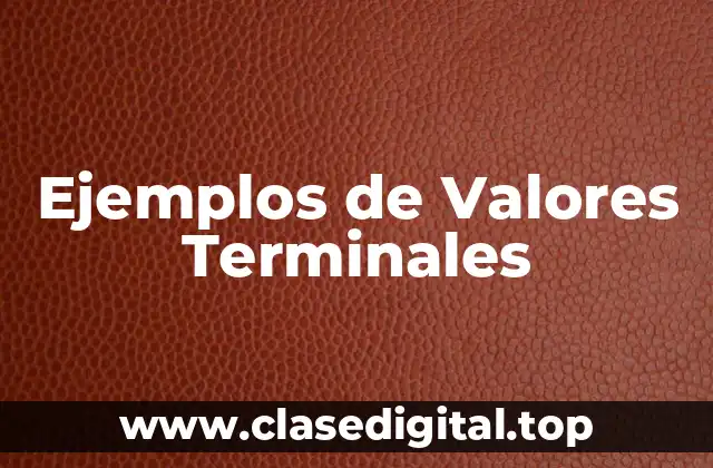 Ejemplos de Valores Terminales