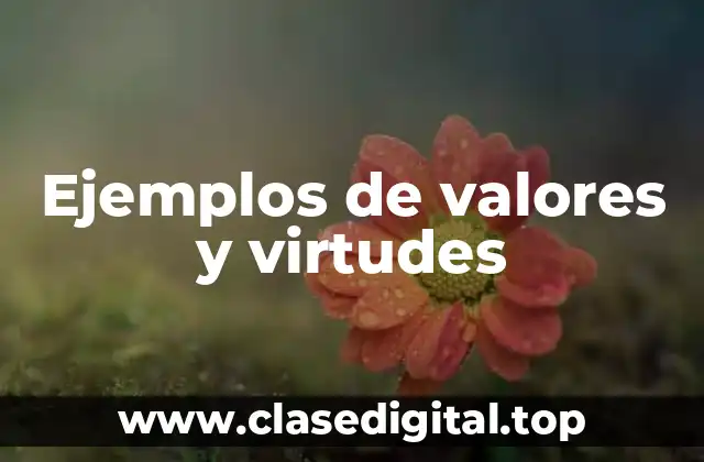 Ejemplos de valores y virtudes