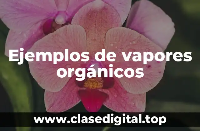 Ejemplos de vapores orgánicos