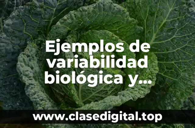 Ejemplos de variabilidad biológica y Significado