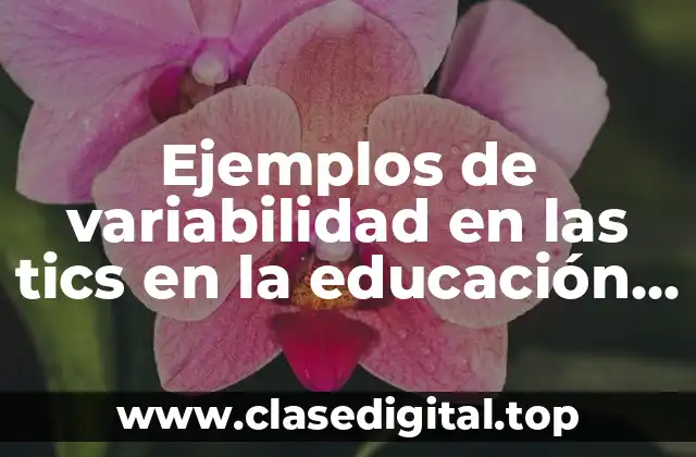 Ejemplos de variabilidad en las tics en la educación primaria