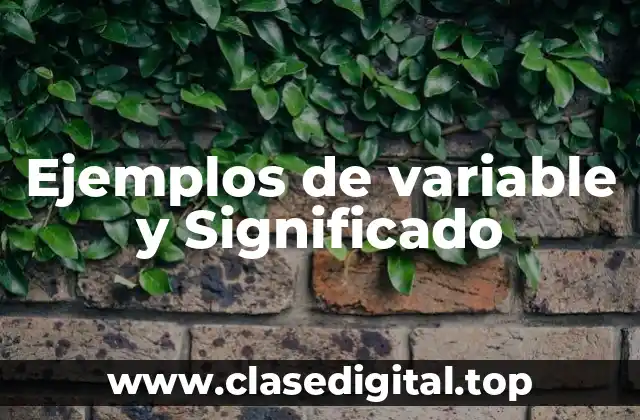 Ejemplos de variable y Significado