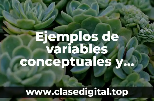 Ejemplos de variables conceptuales