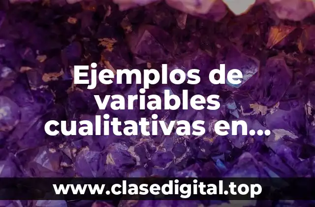 Ejemplos de variables cualitativas en turismo