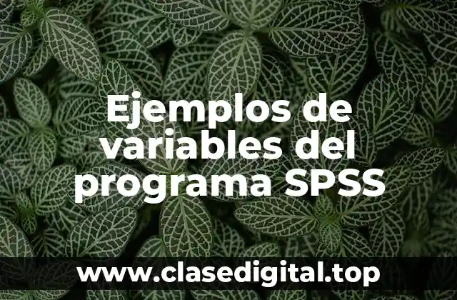 Ejemplos de variables del programa SPSS